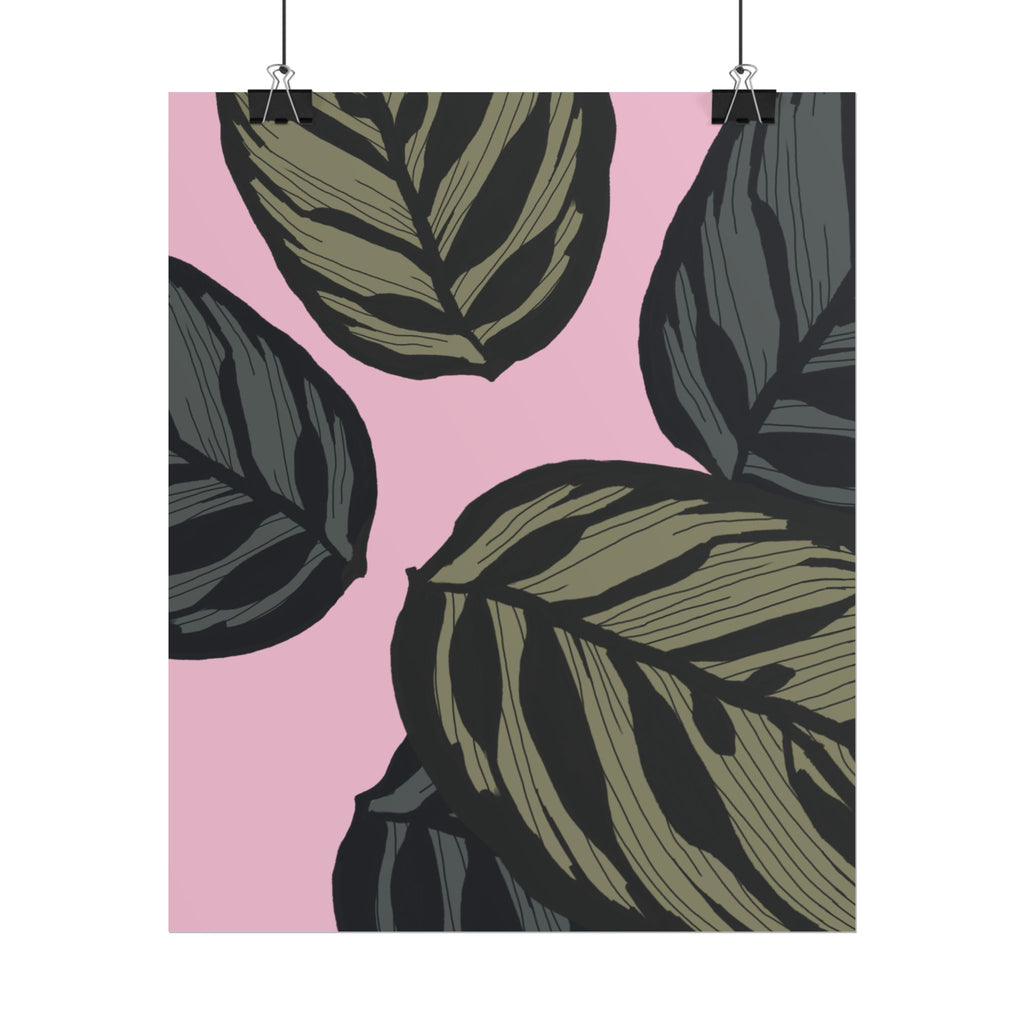 CALATHEA PRINT