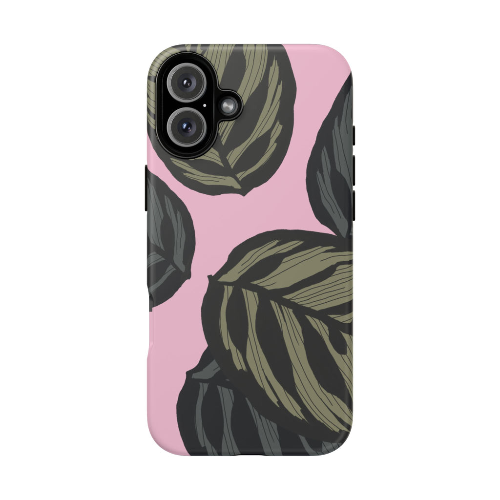 CALATHEA