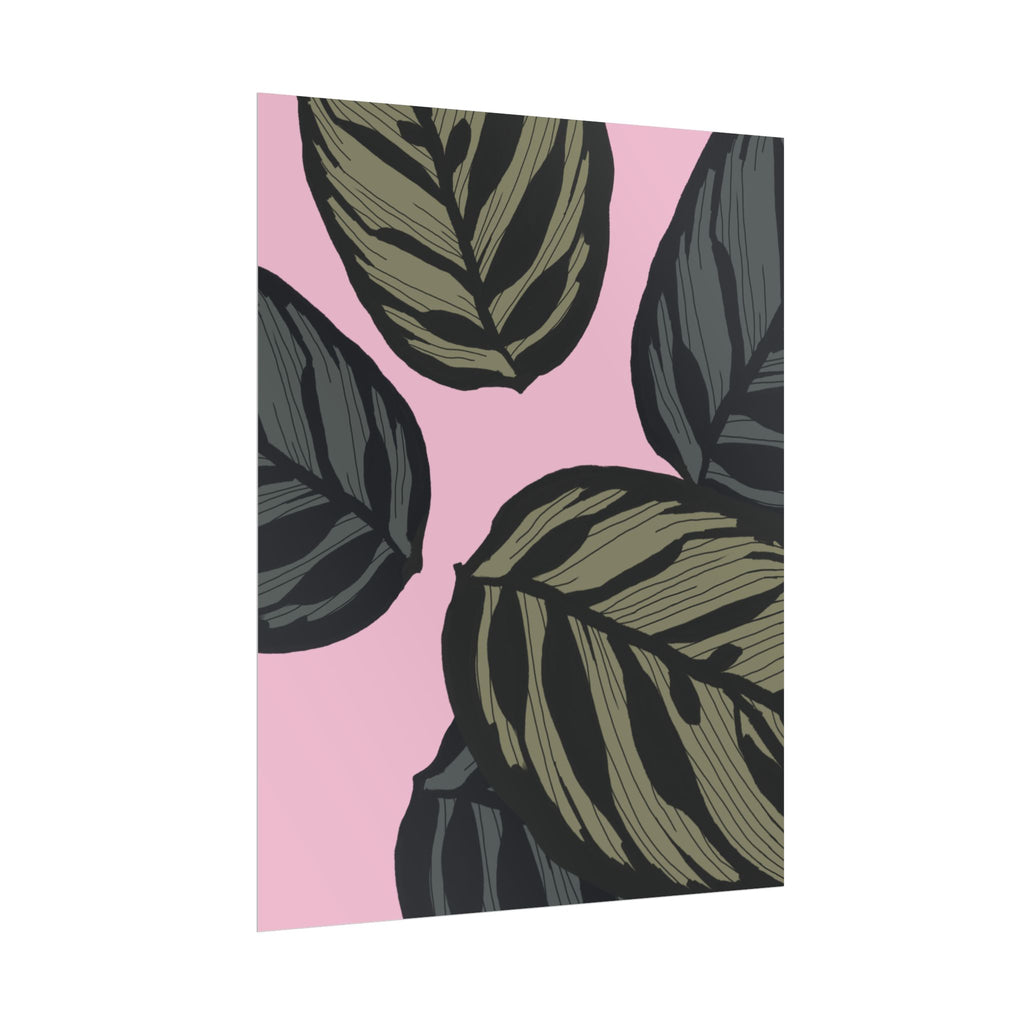 CALATHEA PRINT
