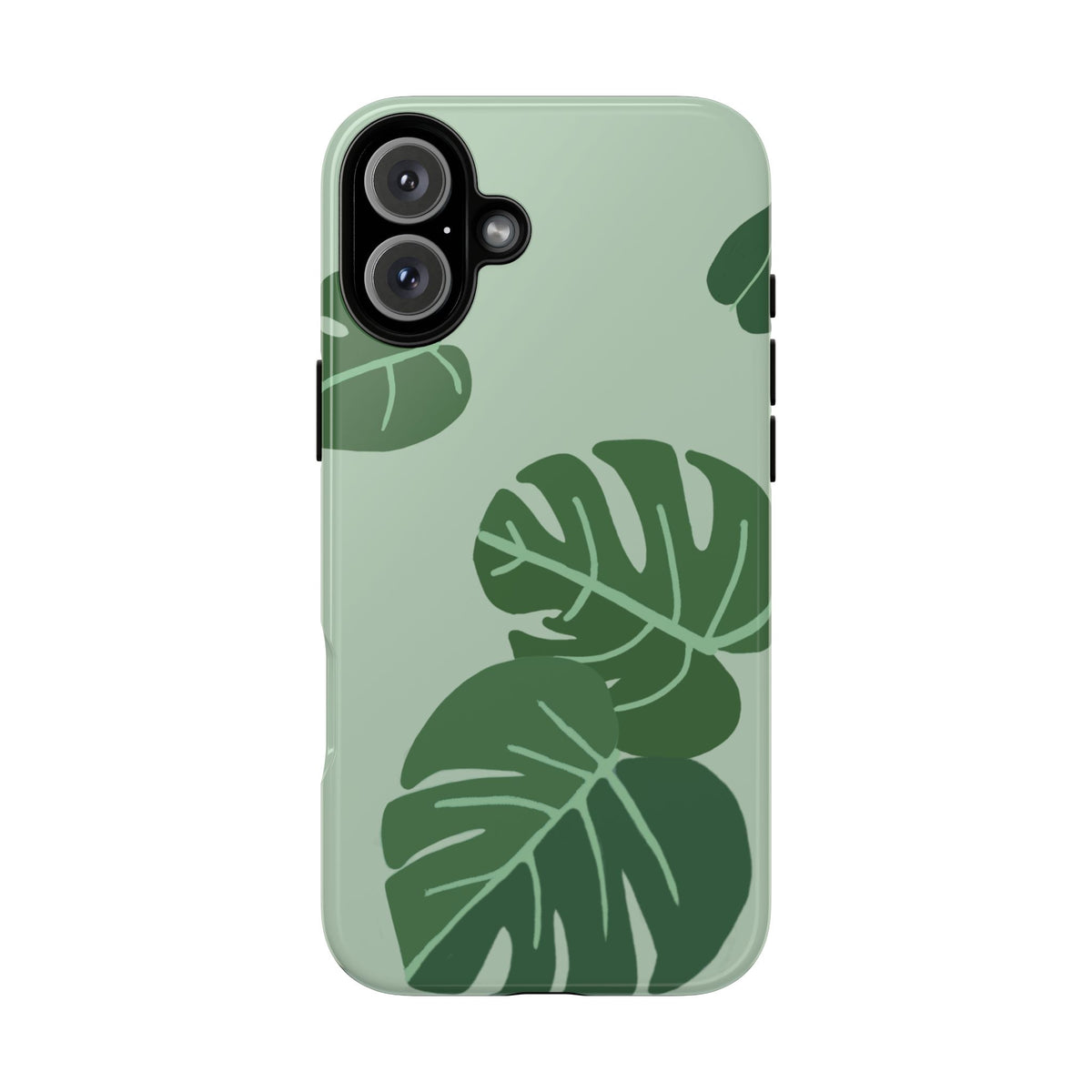 MONSTERA