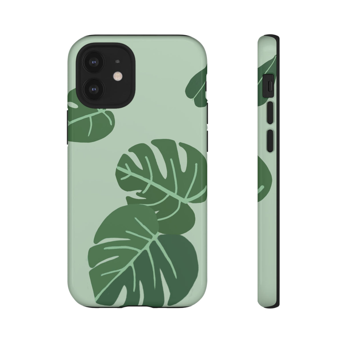 MONSTERA