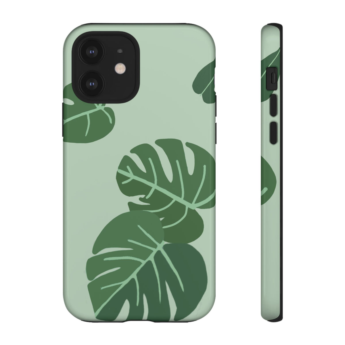 MONSTERA