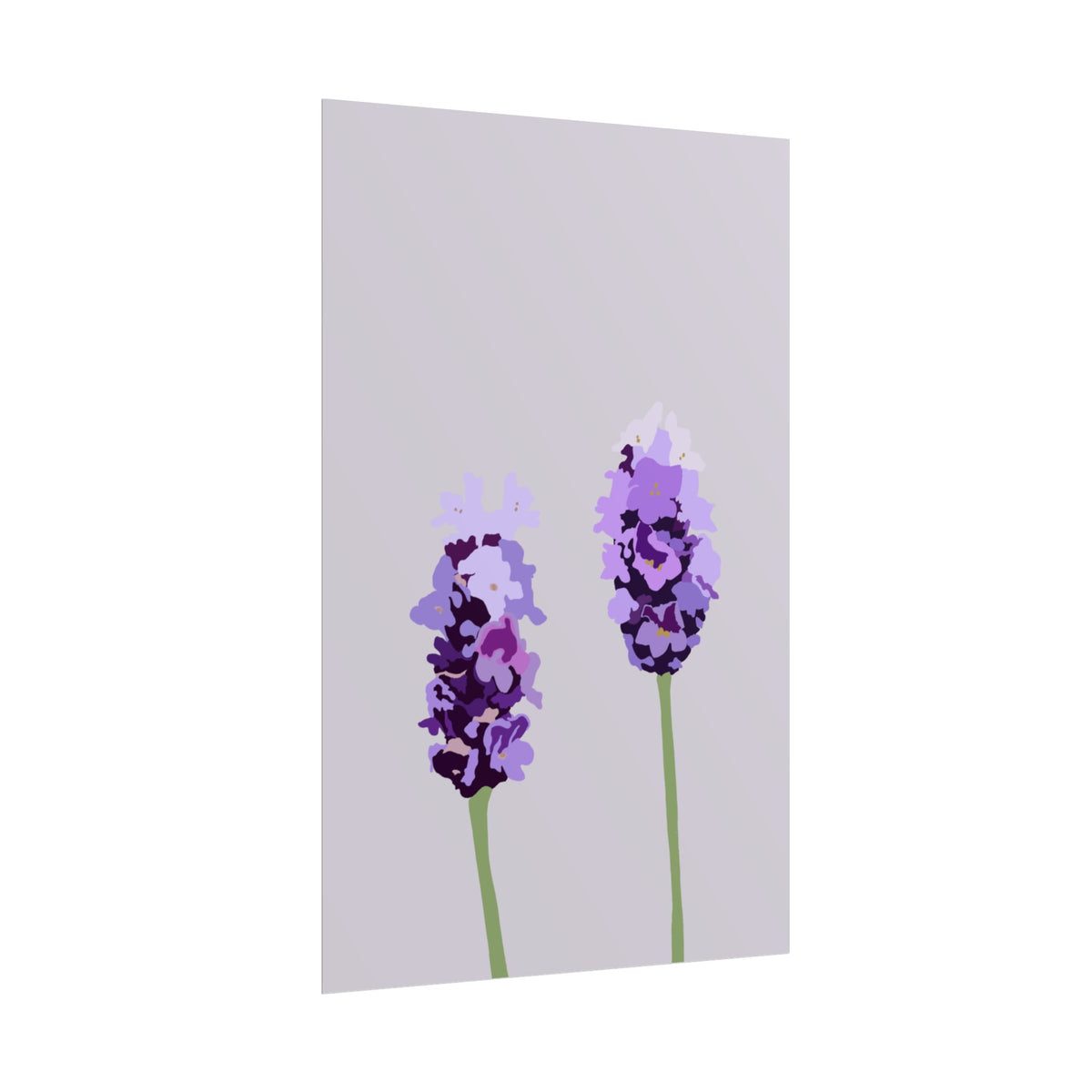 LAVENDER PRINT