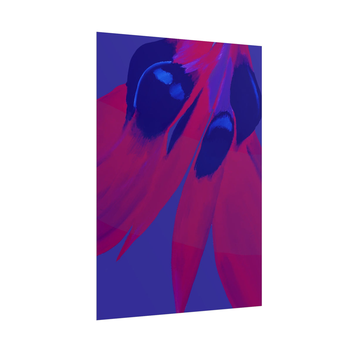 SUNSET DESERT PEA PRINT