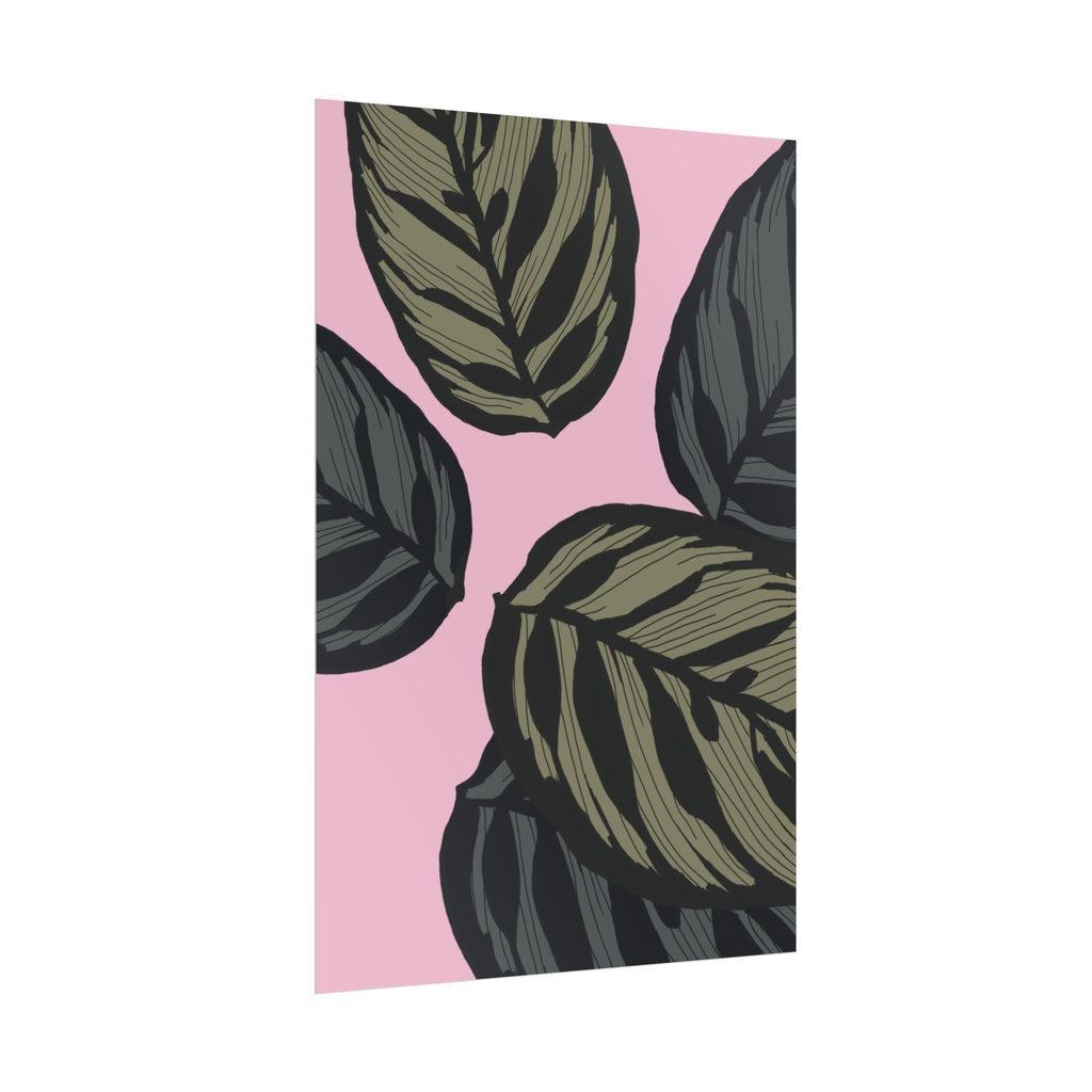 CALATHEA PRINT