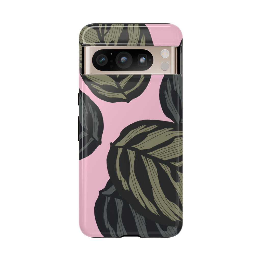 CALATHEA