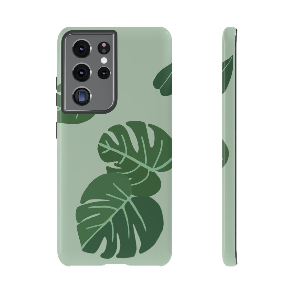 MONSTERA