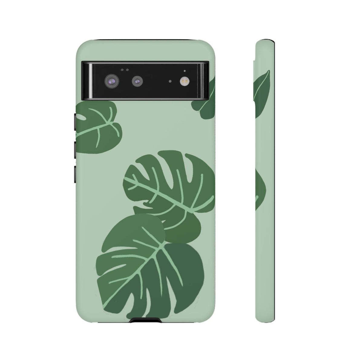 MONSTERA