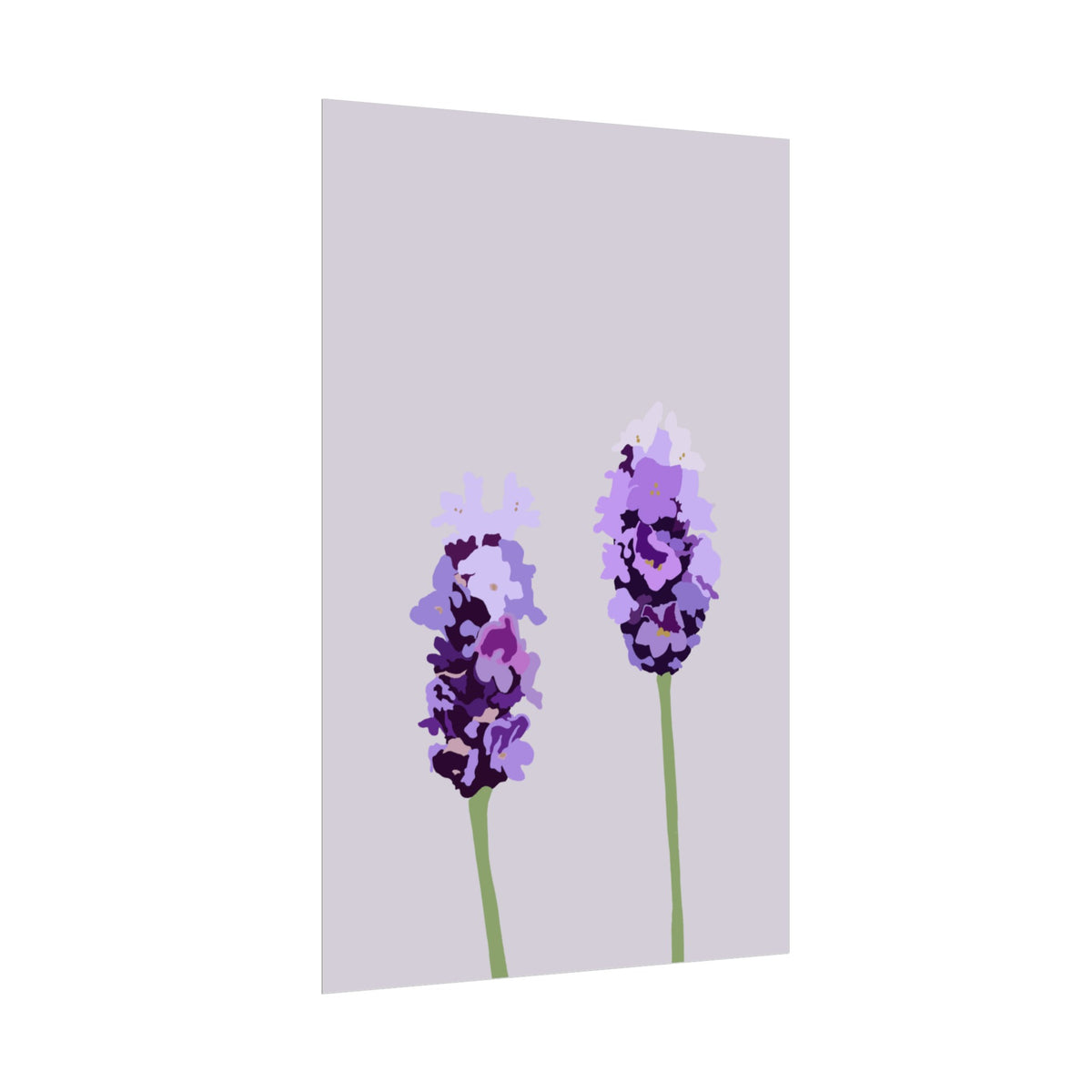 LAVENDER PRINT