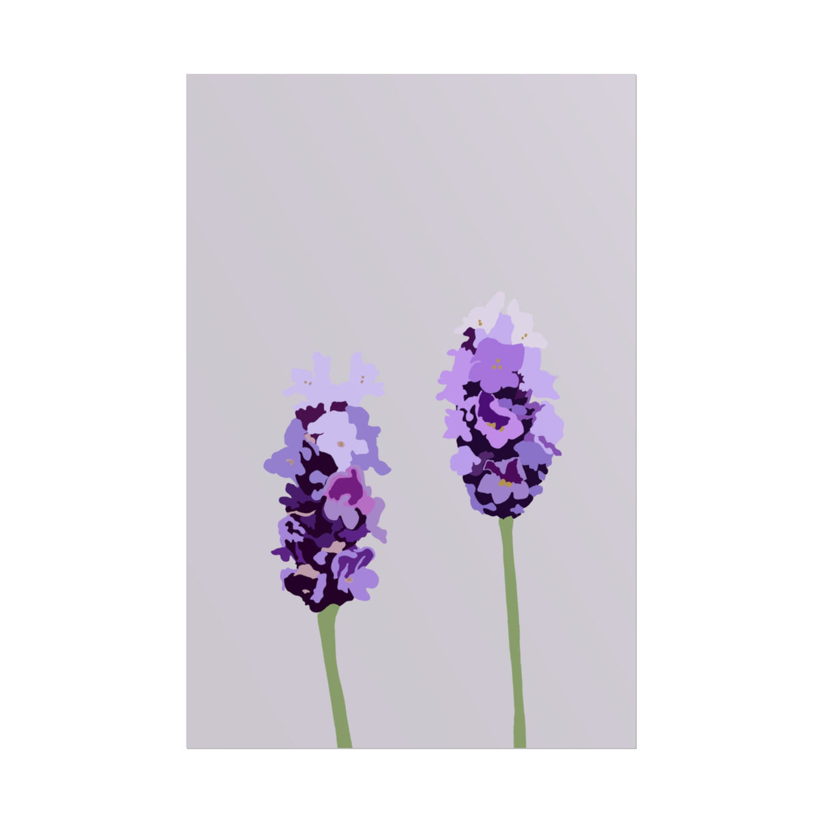 LAVENDER PRINT