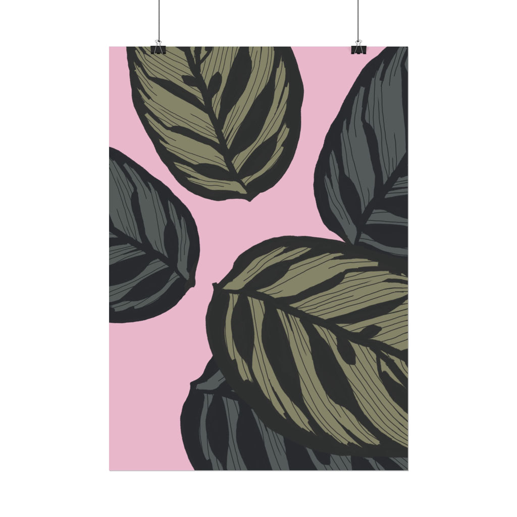 CALATHEA PRINT