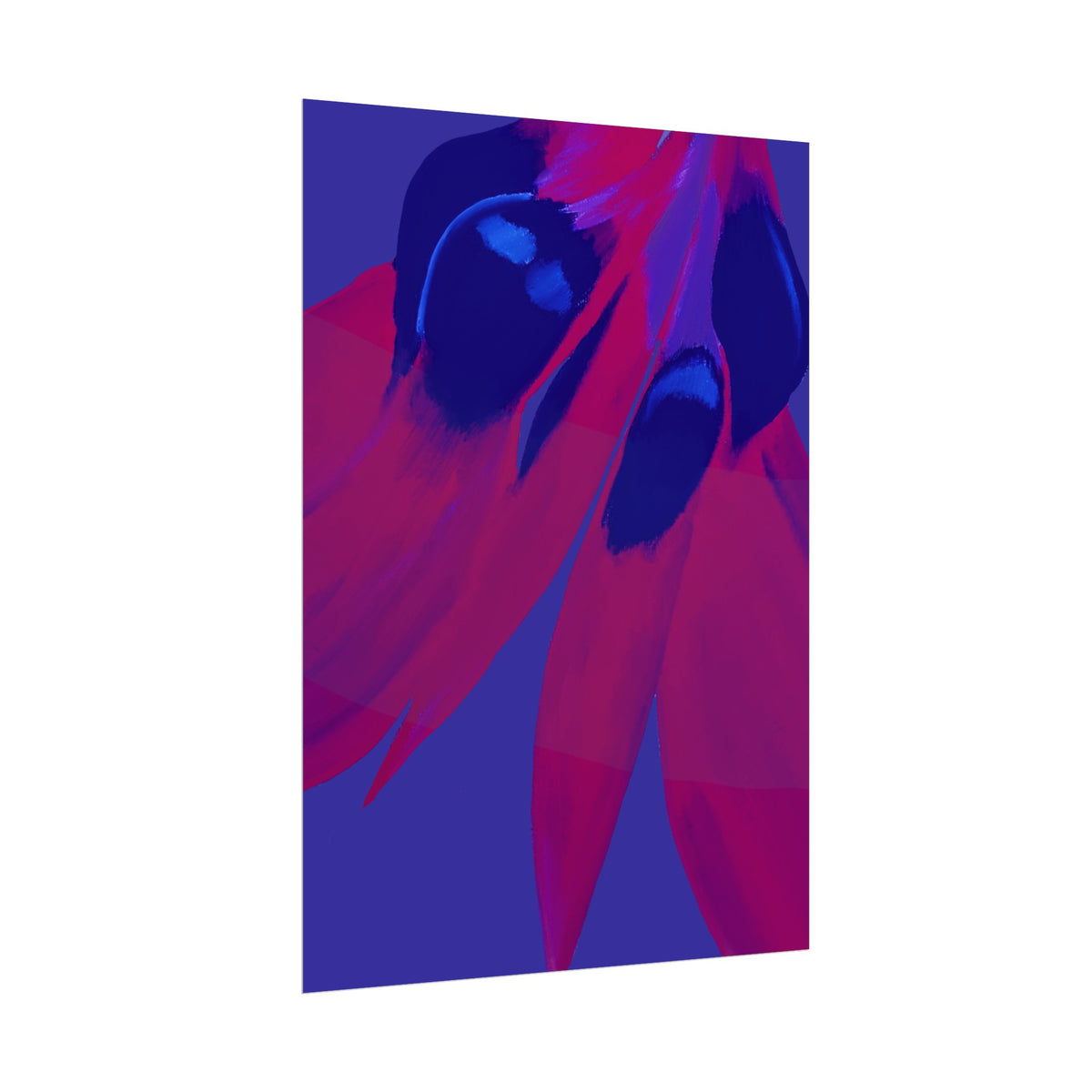 SUNSET DESERT PEA PRINT
