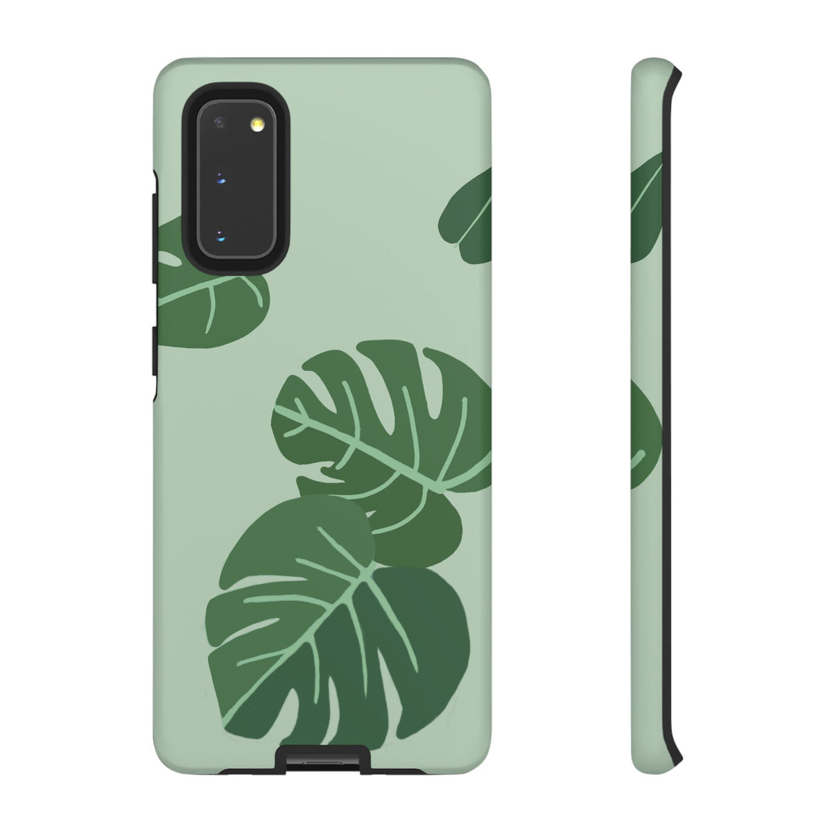 MONSTERA