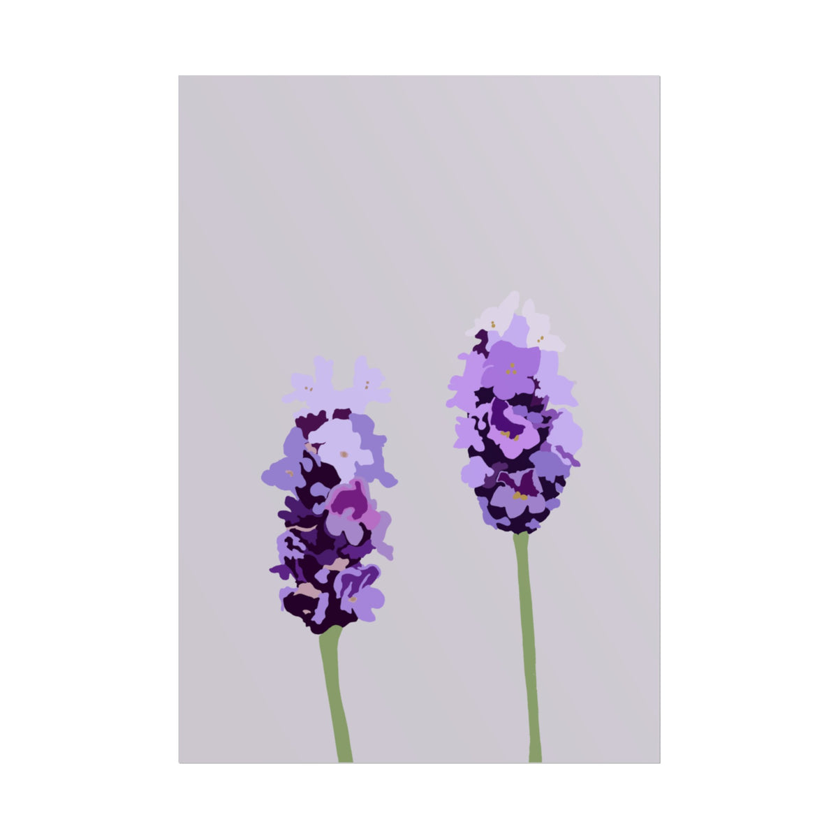 LAVENDER PRINT