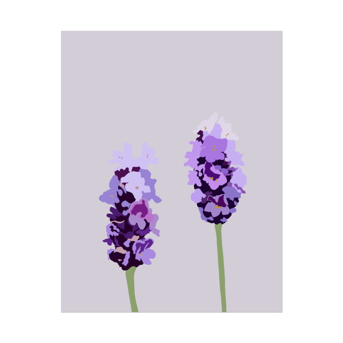 LAVENDER PRINT