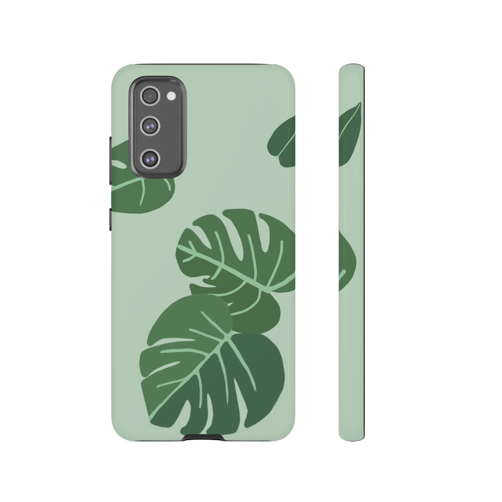 MONSTERA