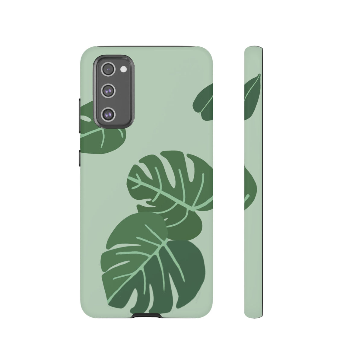 MONSTERA
