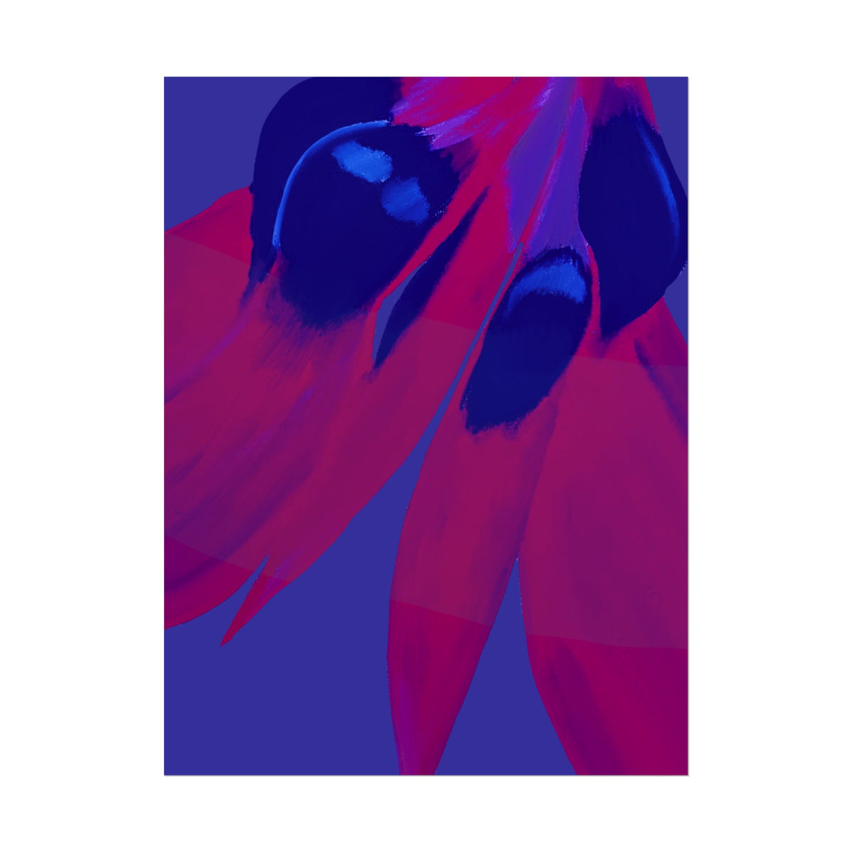 SUNSET DESERT PEA PRINT