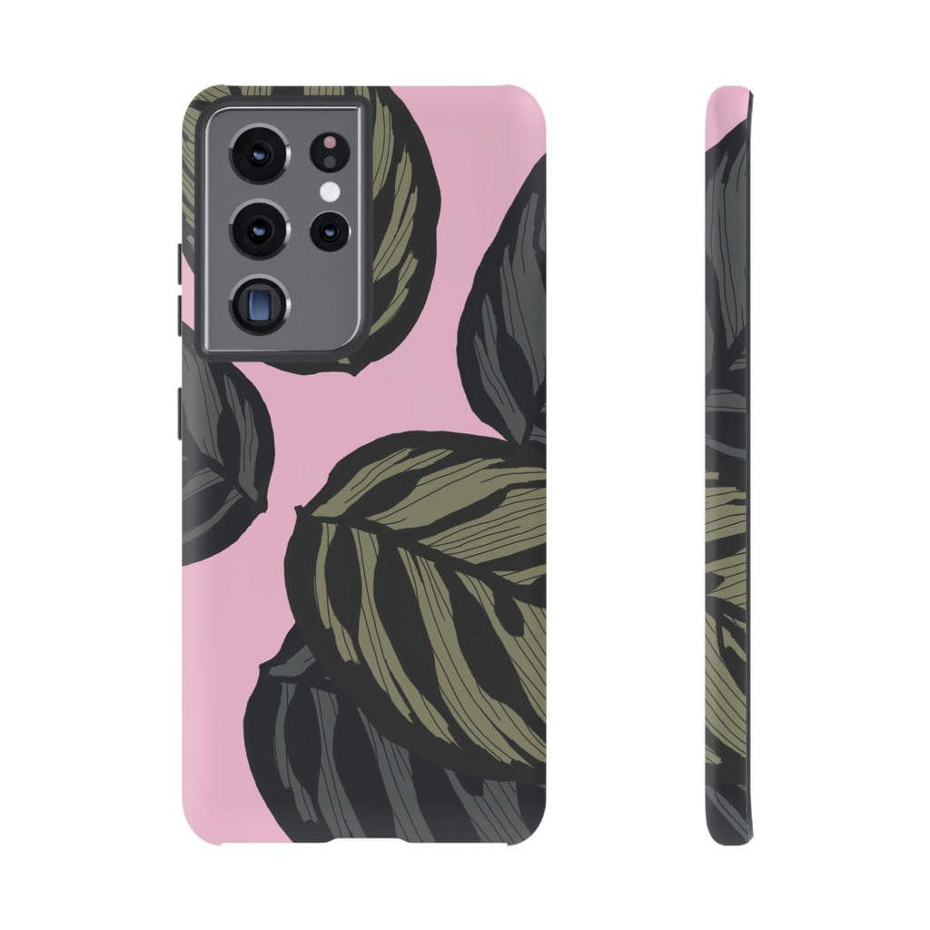 CALATHEA