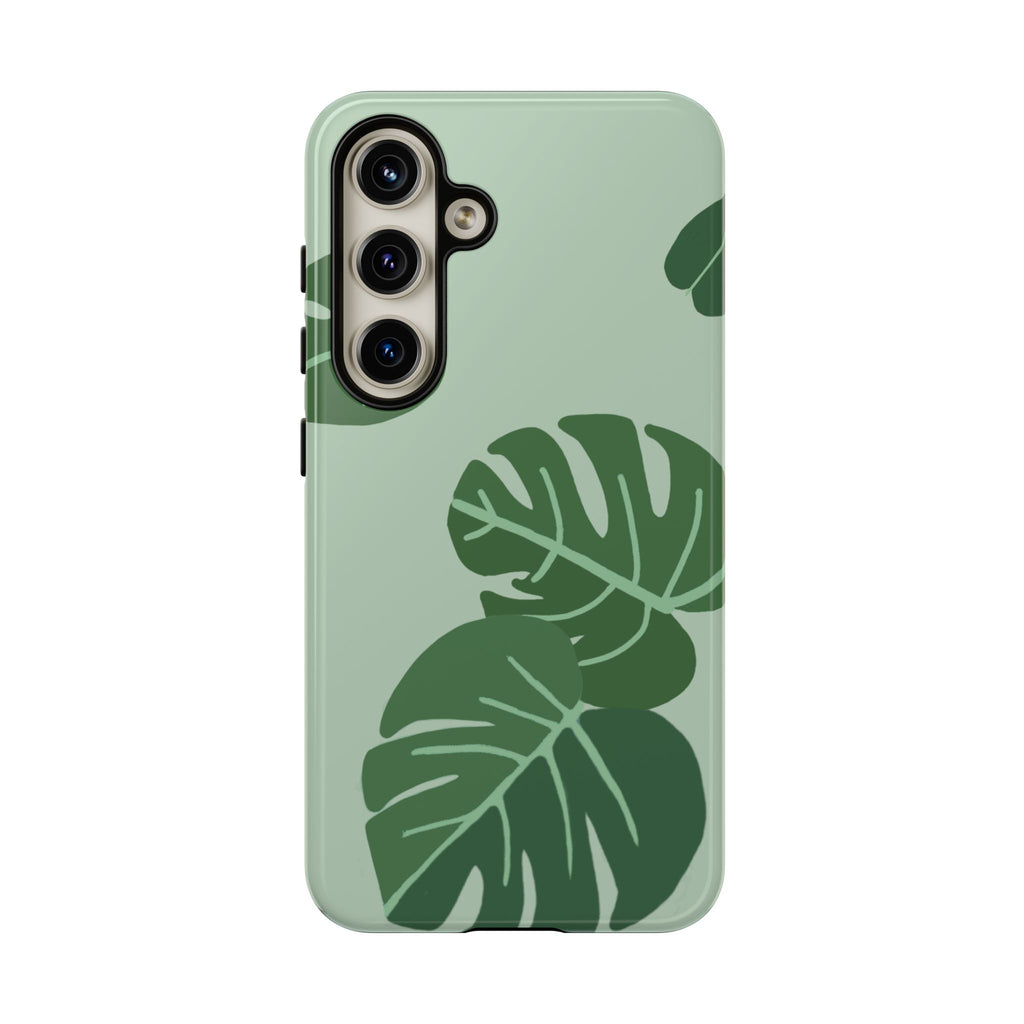MONSTERA