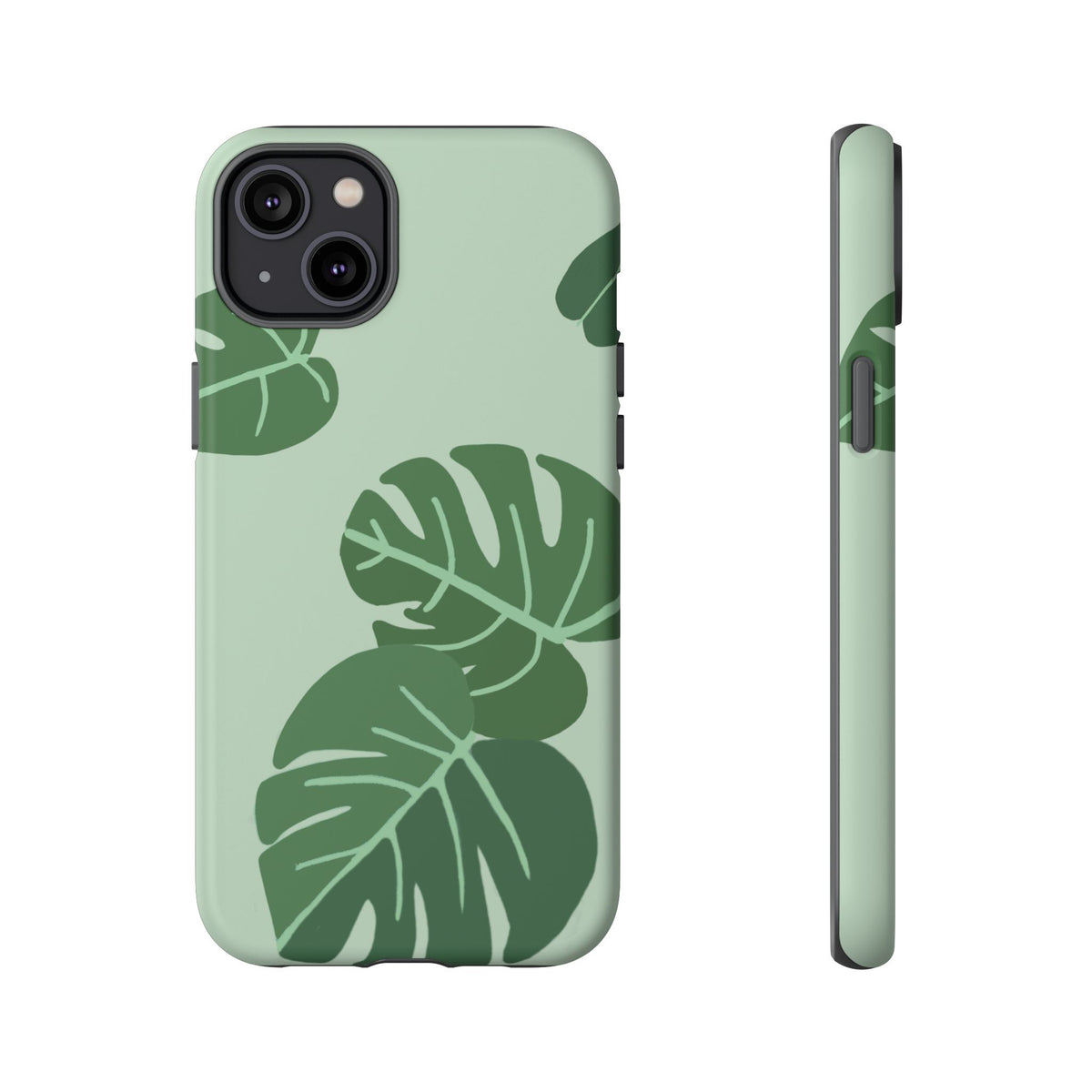 MONSTERA