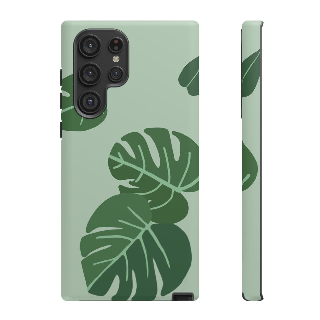 MONSTERA