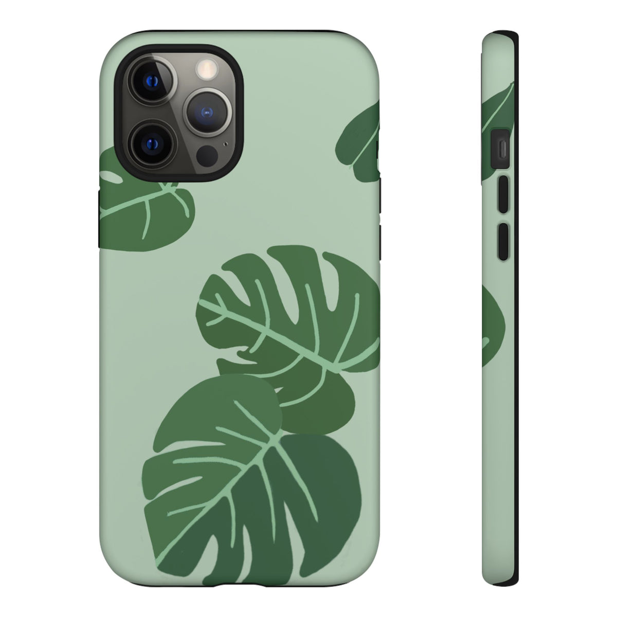 MONSTERA