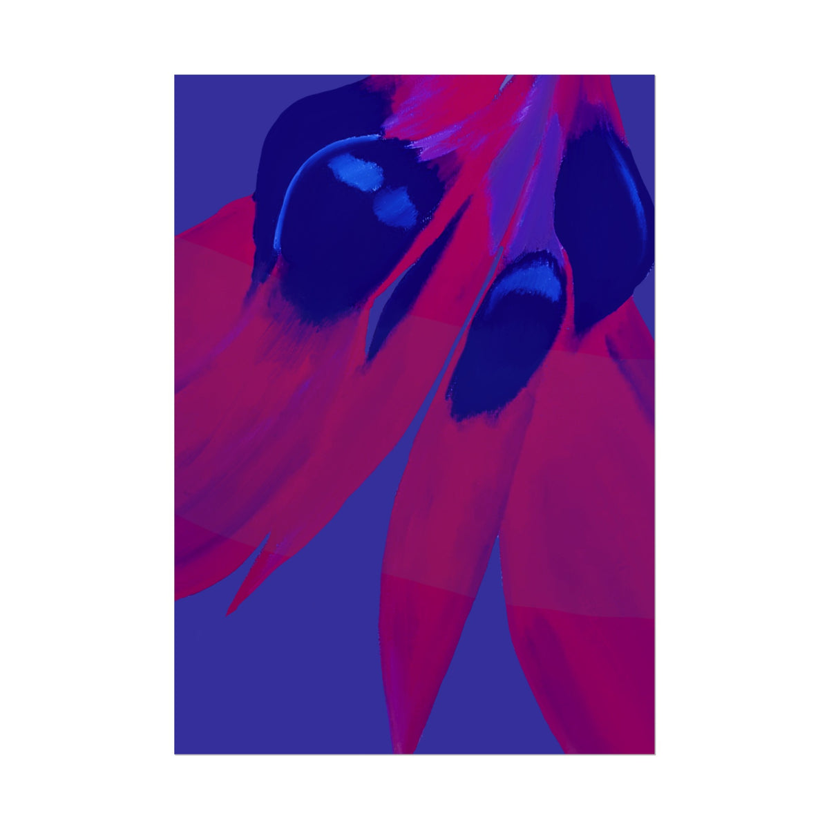 SUNSET DESERT PEA PRINT