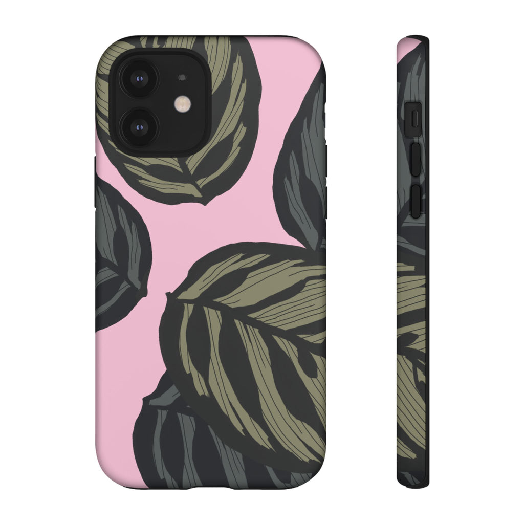 CALATHEA