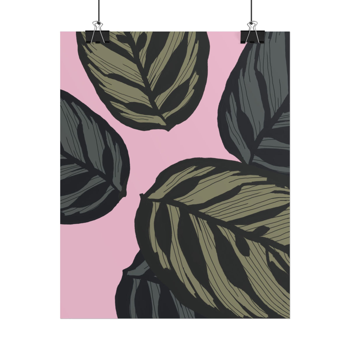 CALATHEA PRINT