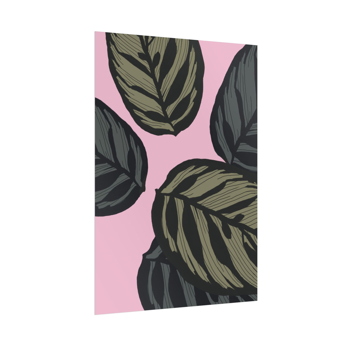 CALATHEA PRINT
