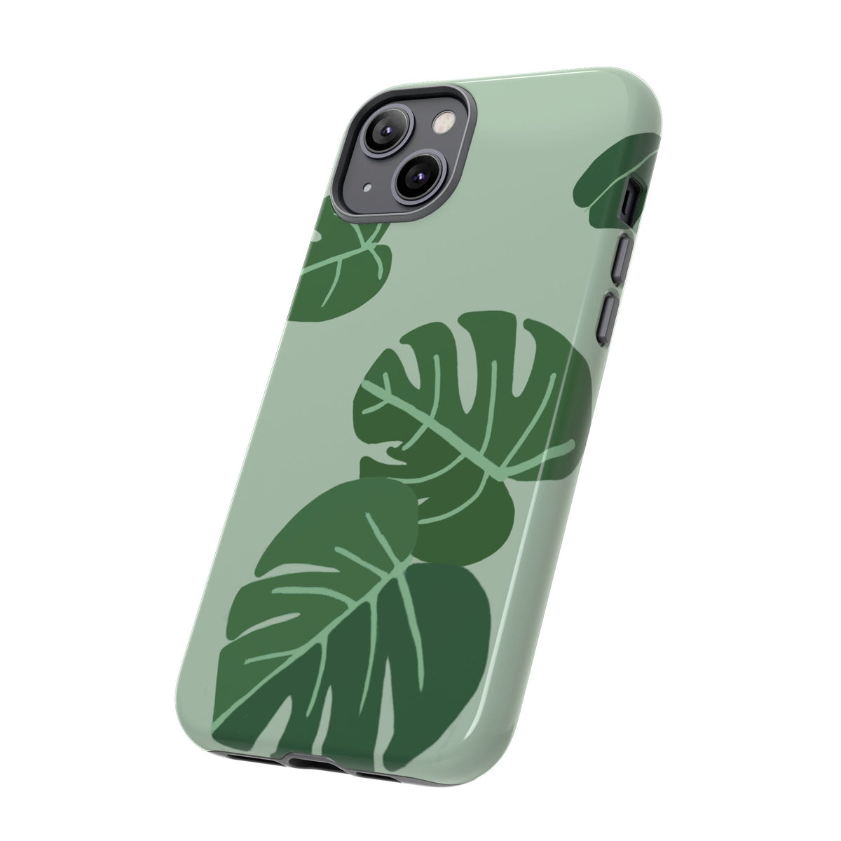 MONSTERA