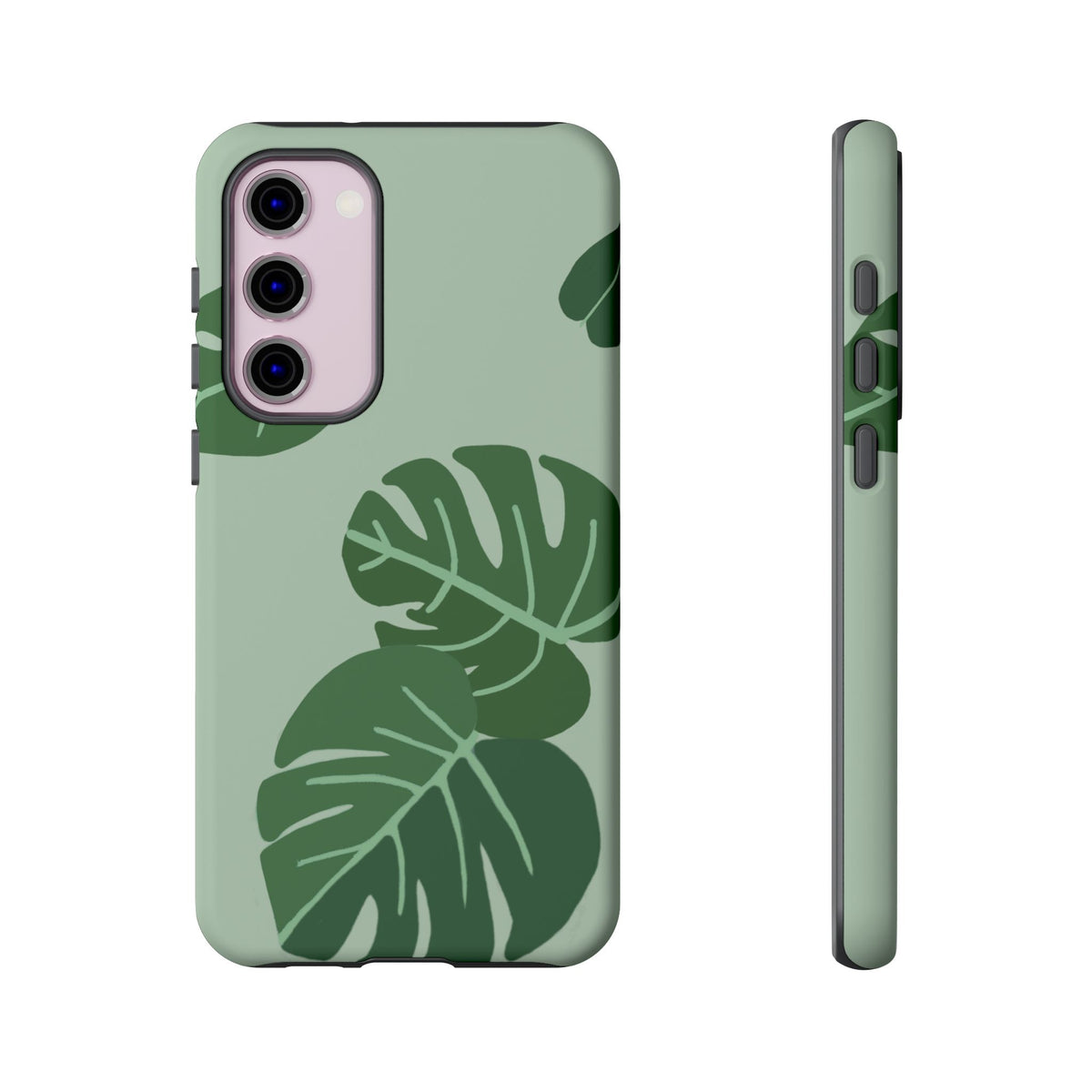 MONSTERA