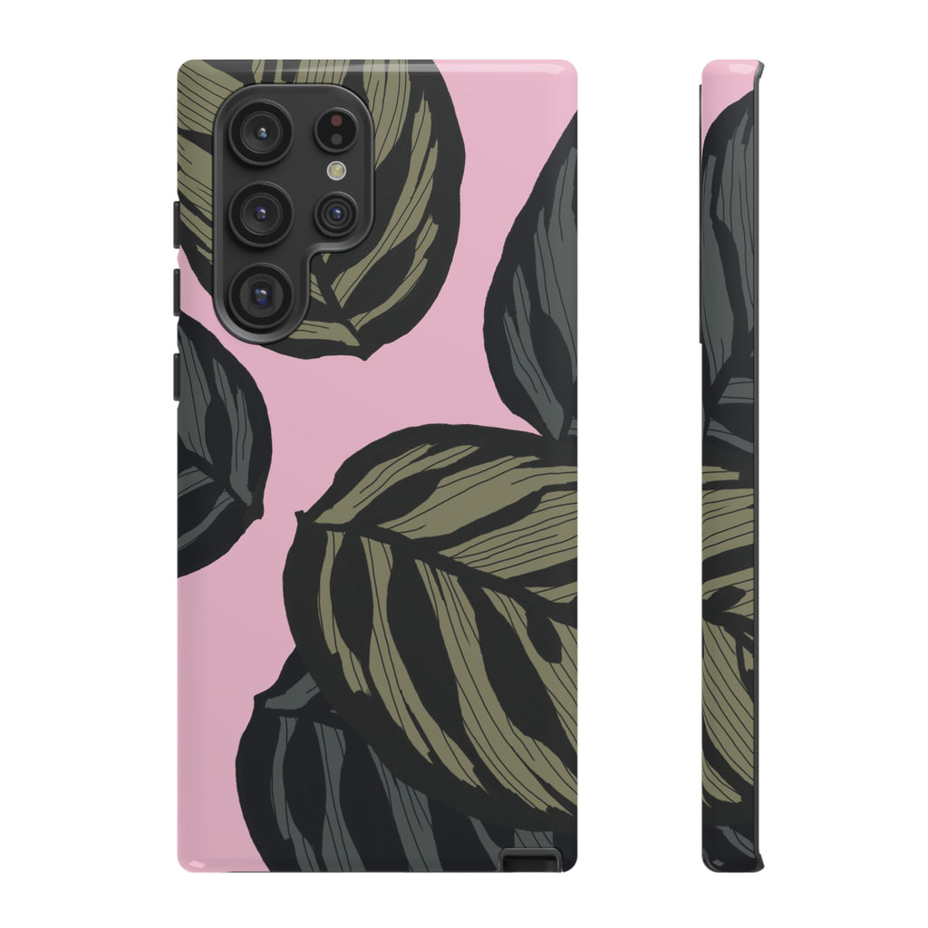 CALATHEA
