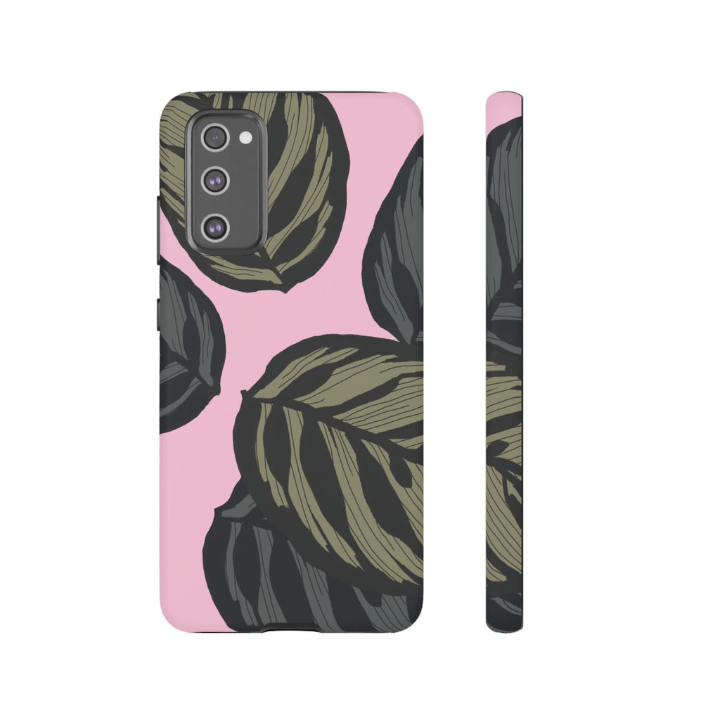 CALATHEA