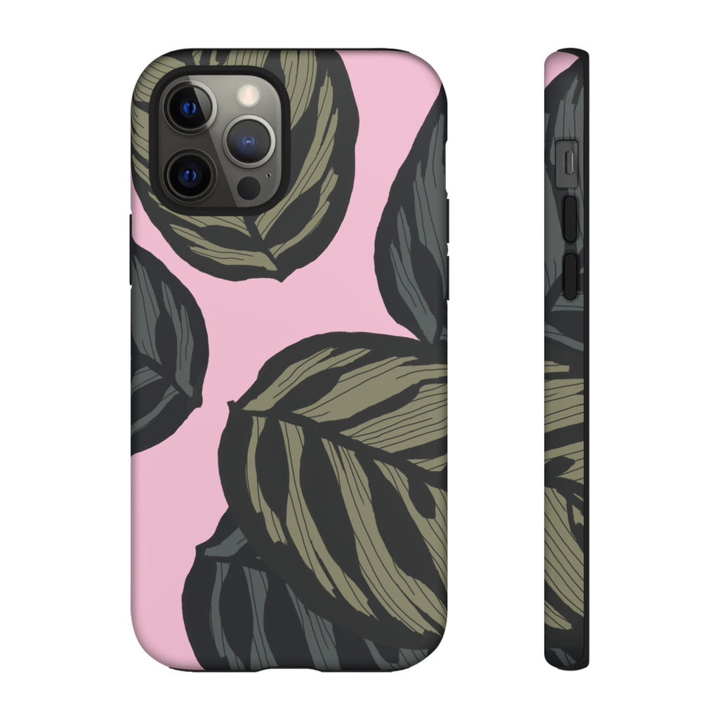 CALATHEA