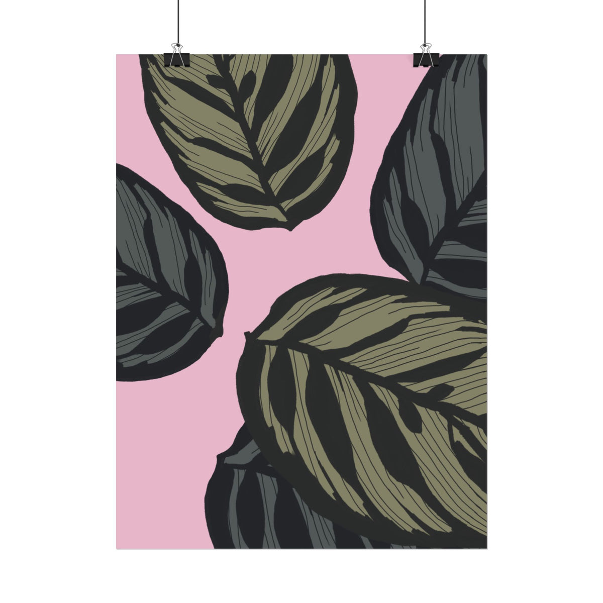 CALATHEA PRINT