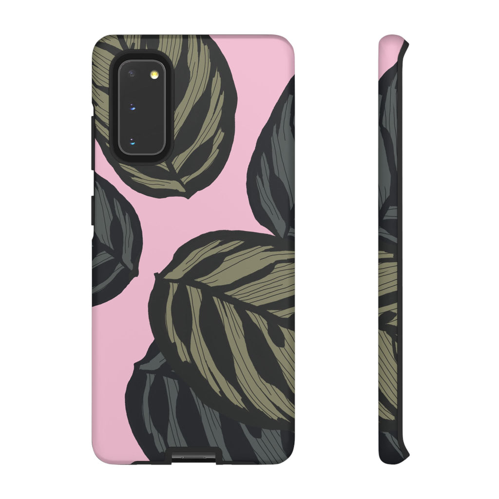 CALATHEA