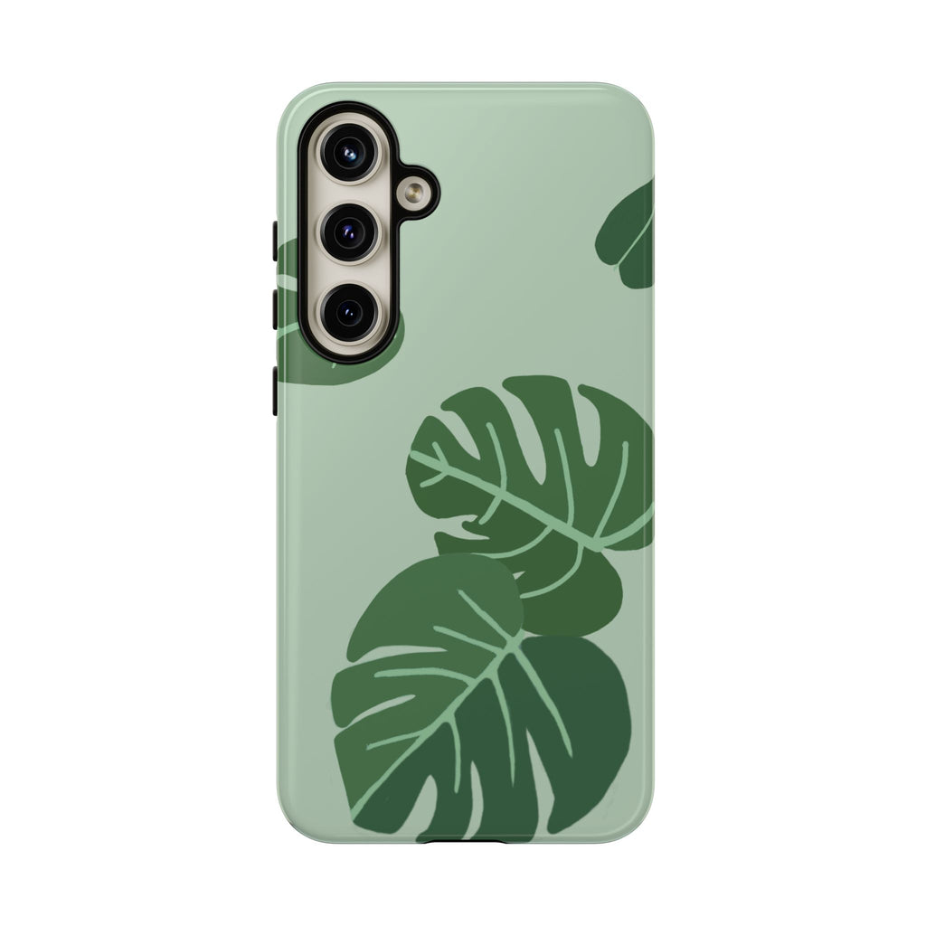 MONSTERA