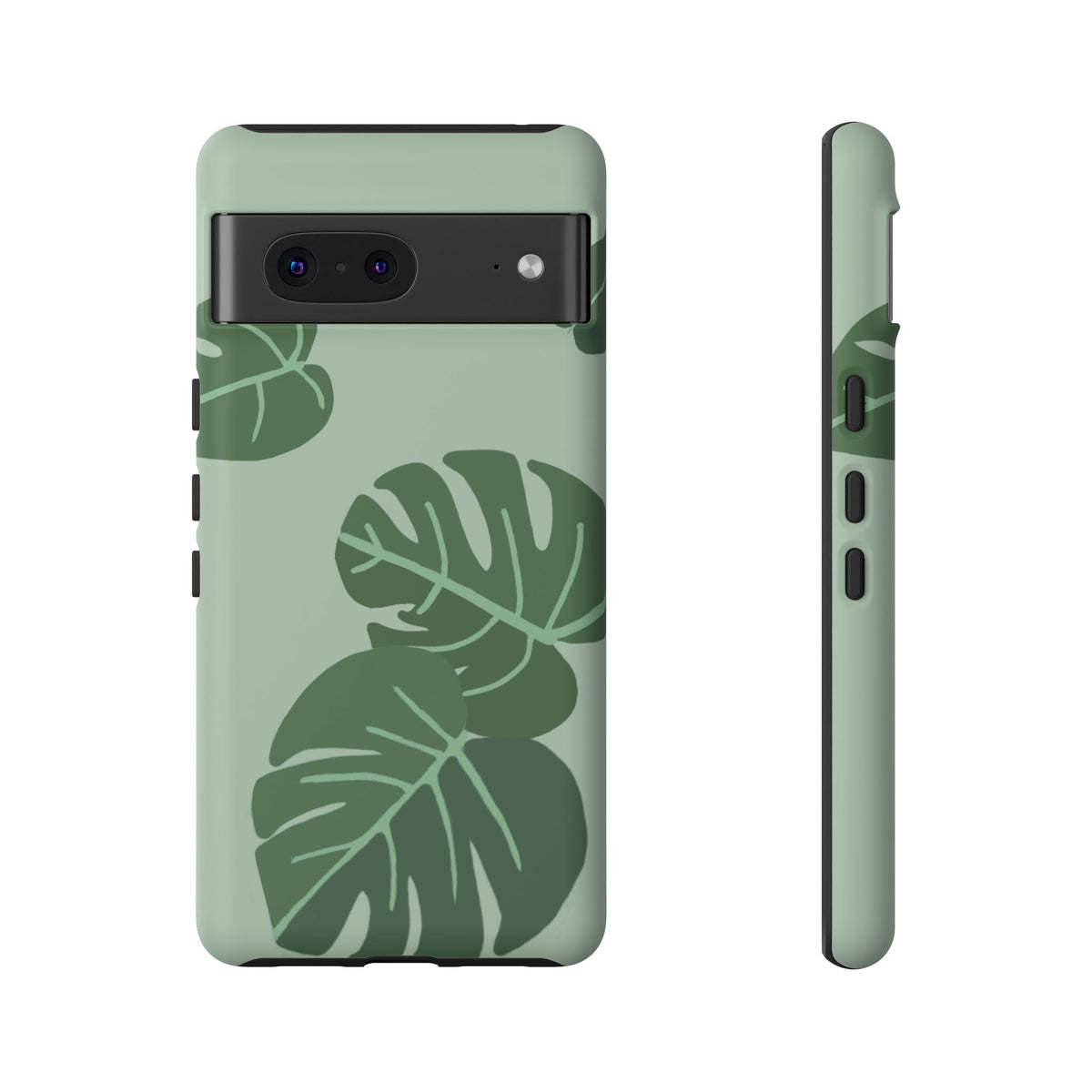 MONSTERA