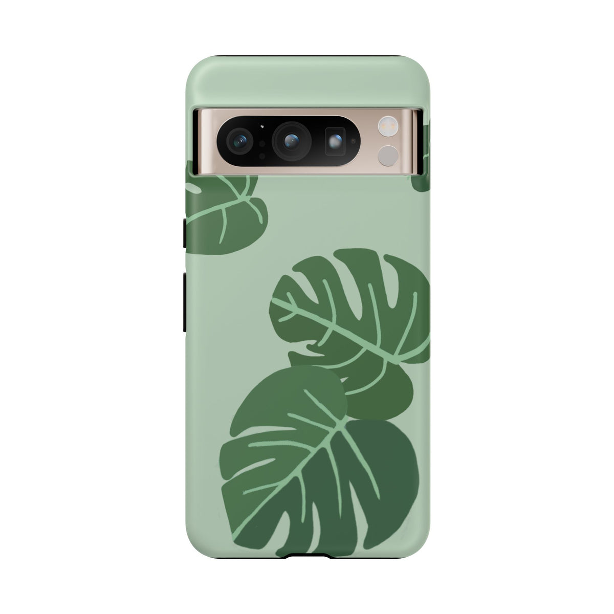 MONSTERA