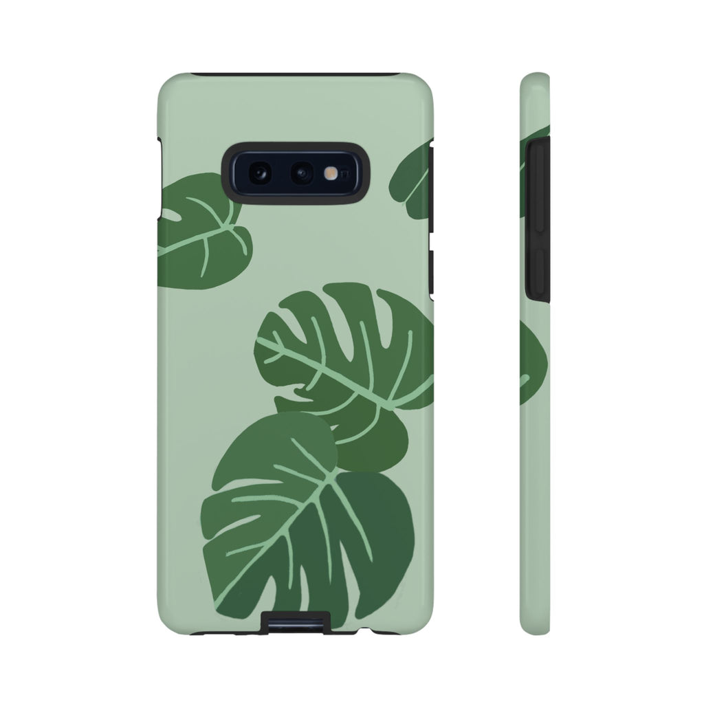 MONSTERA
