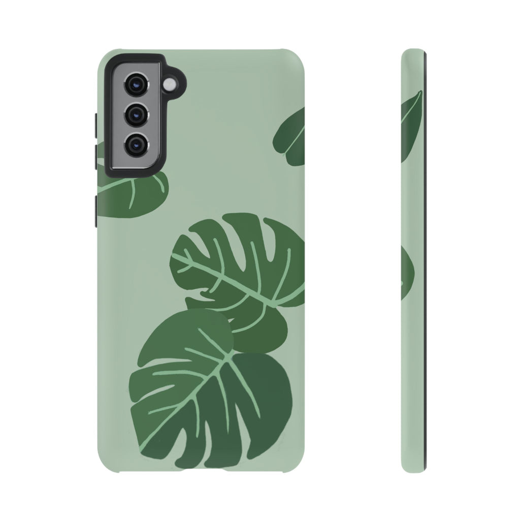 MONSTERA
