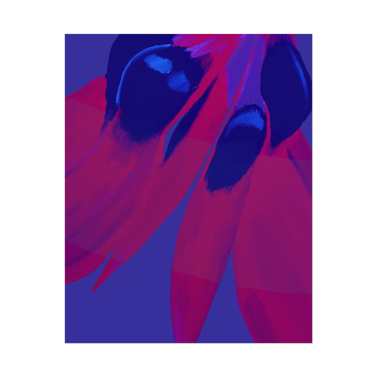 SUNSET DESERT PEA PRINT