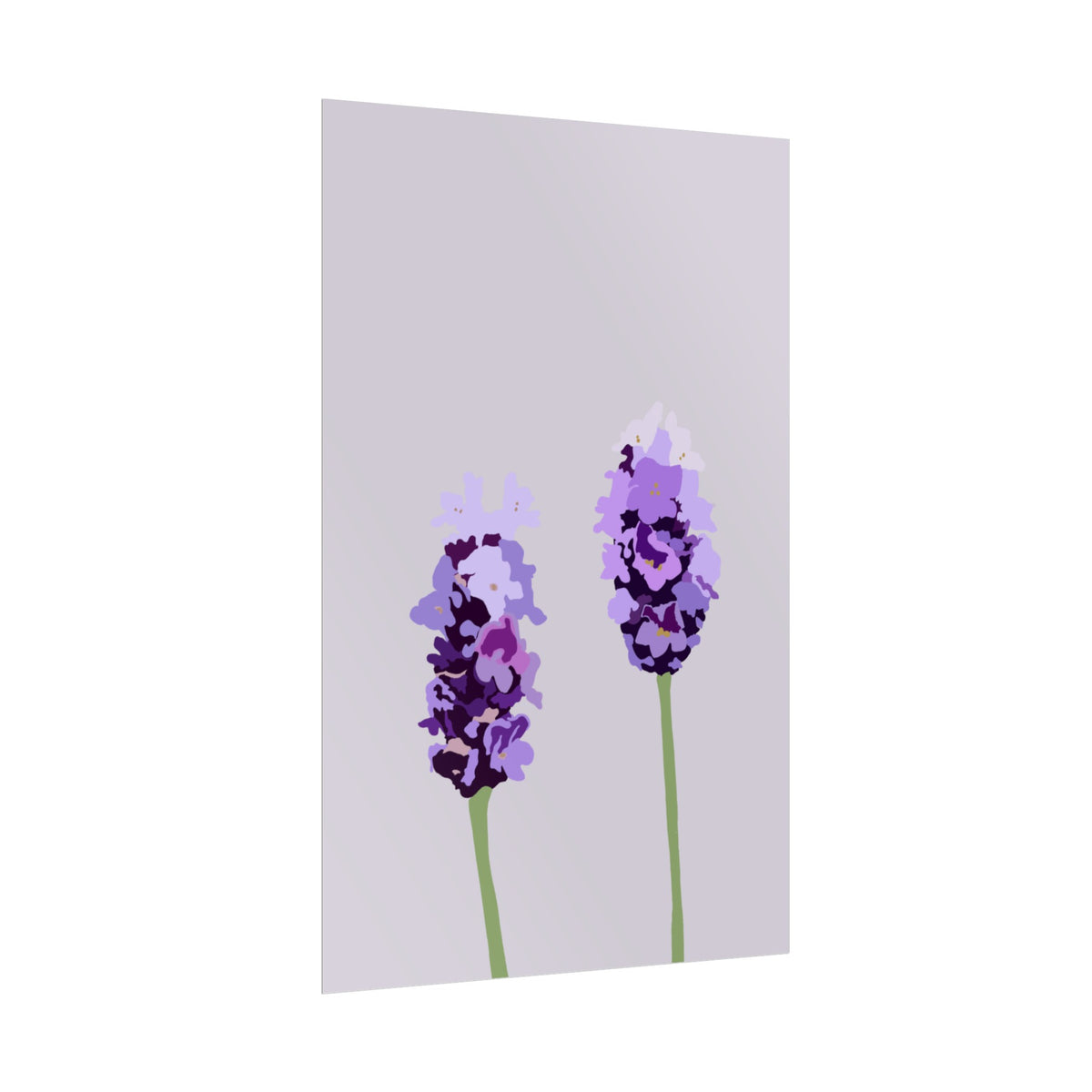 LAVENDER PRINT