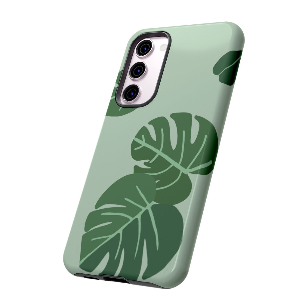 MONSTERA