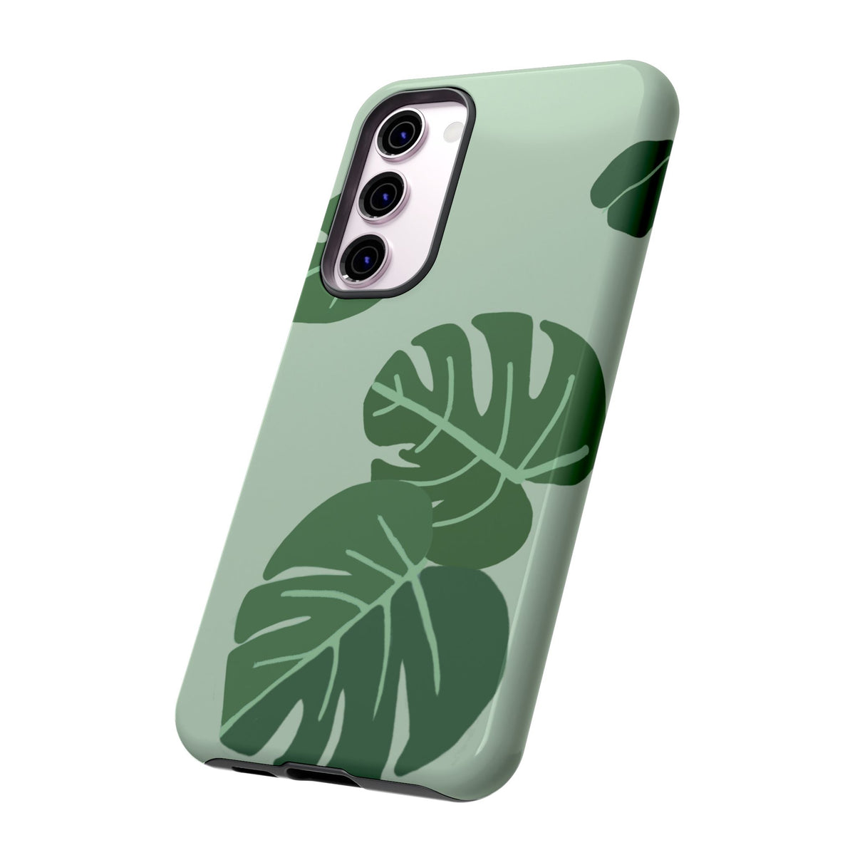 MONSTERA