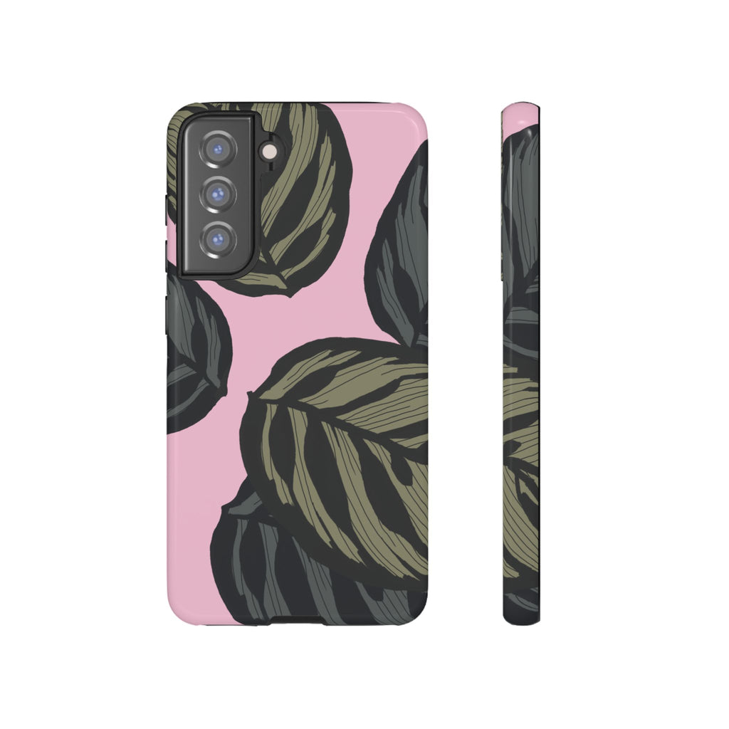 CALATHEA