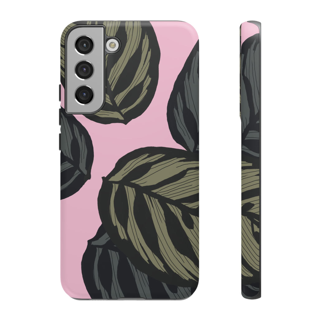 CALATHEA