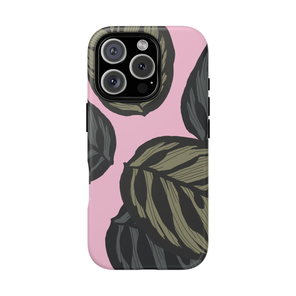 CALATHEA